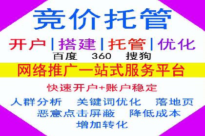 探索SEM优化托管的成功案例与策略