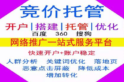 竞价广告策略案例分析